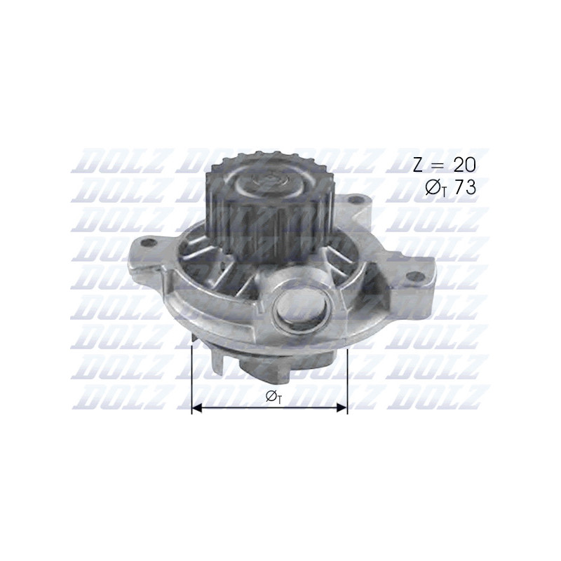 Pompe à eau DOLZ