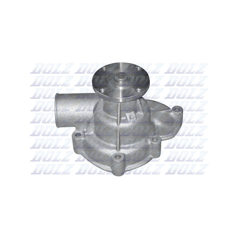 Pompe à eau DOLZ