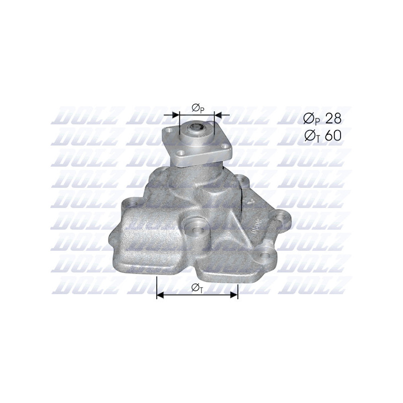 Pompe à eau DOLZ