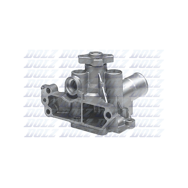 Pompe à eau DOLZ