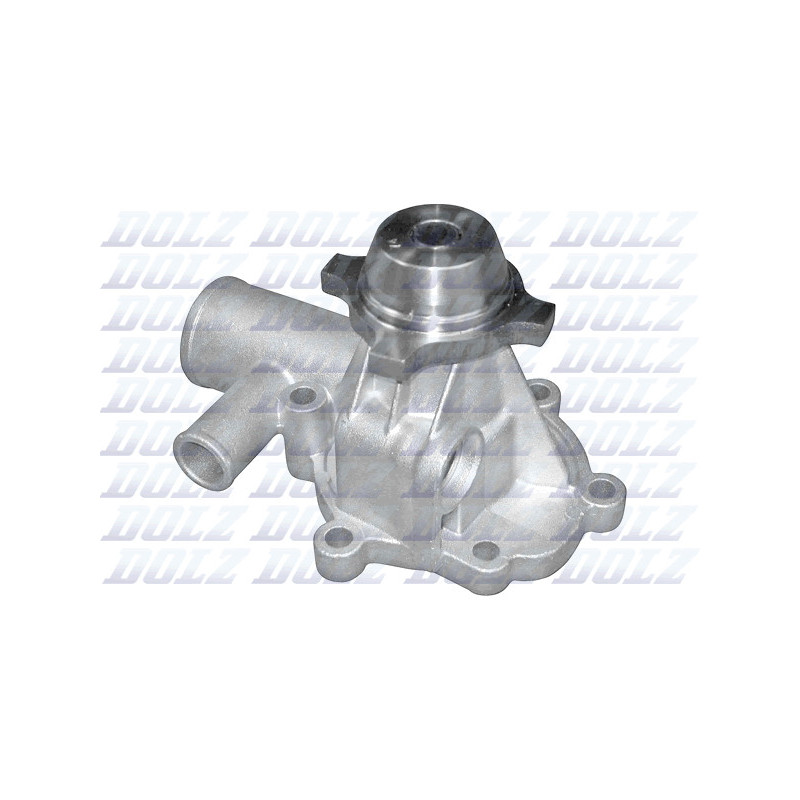 Pompe à eau DOLZ