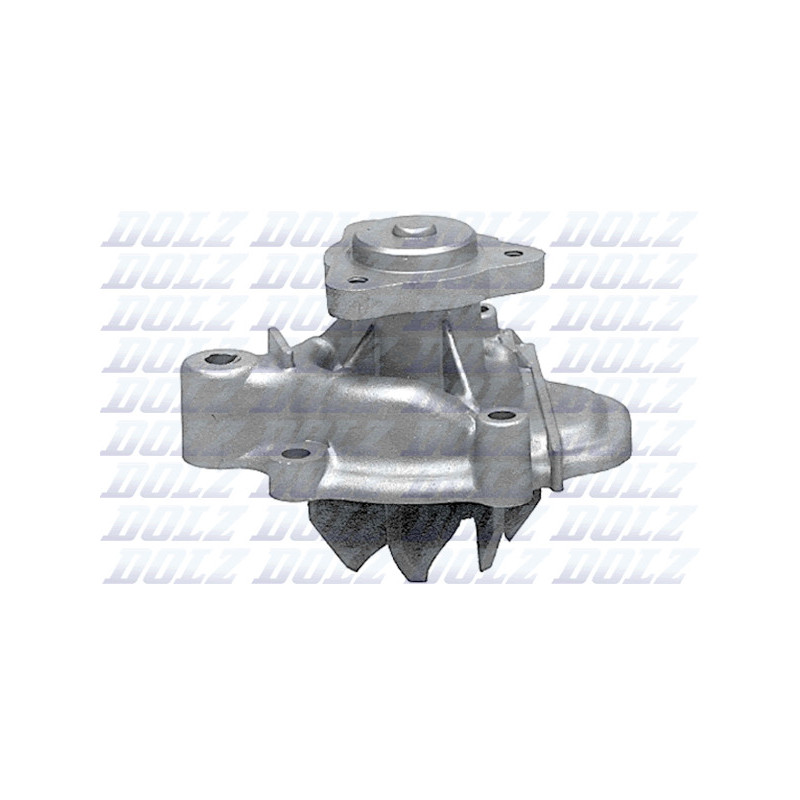 Pompe à eau DOLZ