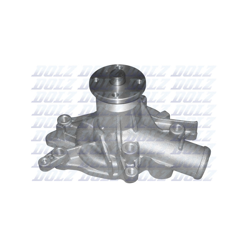 Pompe à eau DOLZ