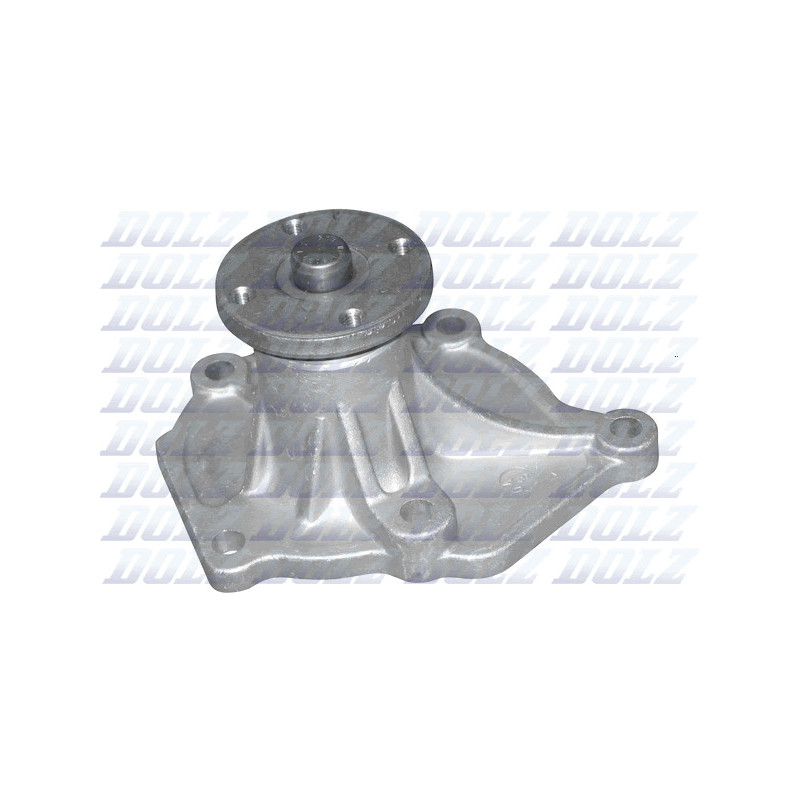 Pompe à eau DOLZ