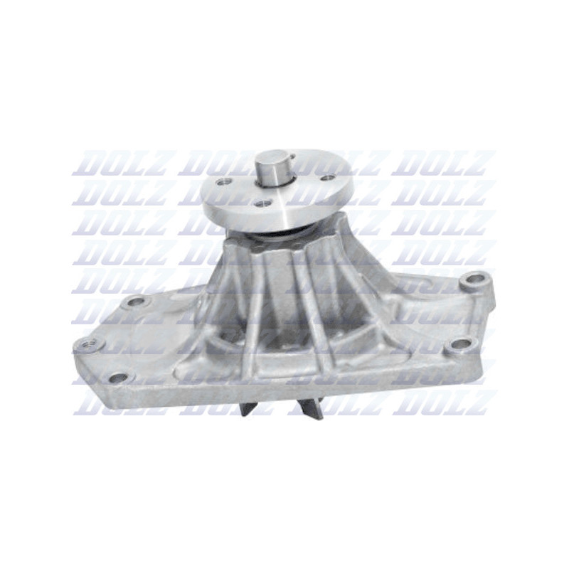Pompe à eau DOLZ