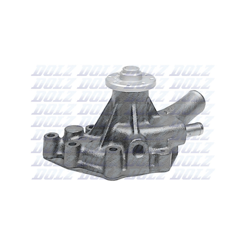 Pompe à eau DOLZ