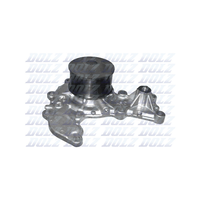 Pompe à eau DOLZ