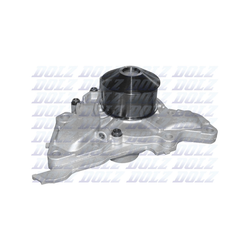 Pompe à eau DOLZ