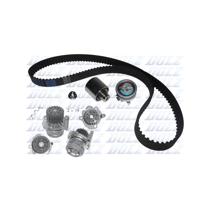 Kit de distribution + pompe à eau DOLZ