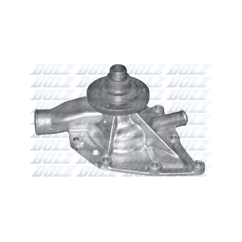 Pompe à eau DOLZ
