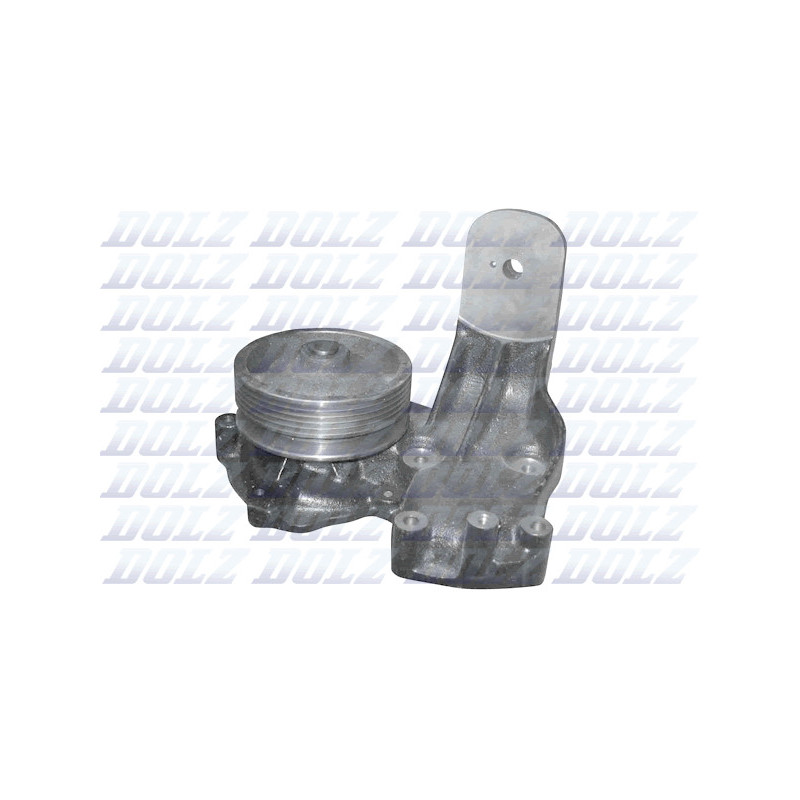 Pompe à eau DOLZ