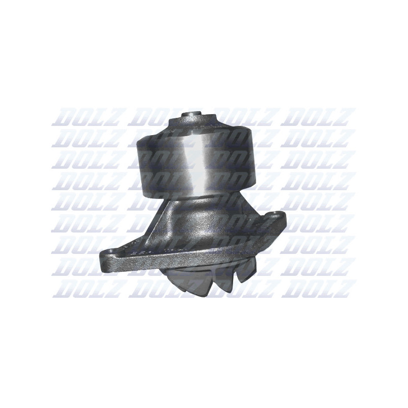 Pompe à eau DOLZ