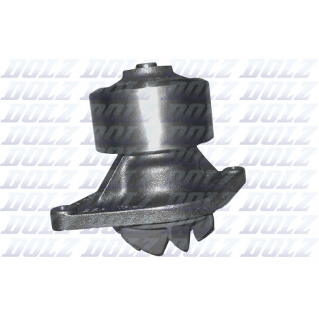 Pompe à eau DOLZ