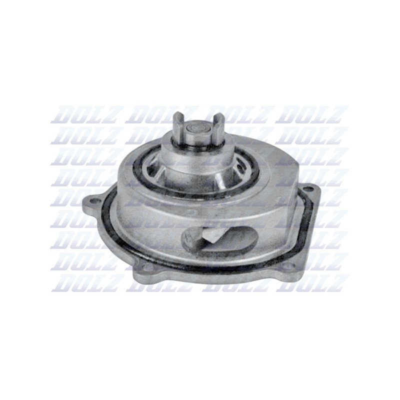 Pompe à eau DOLZ