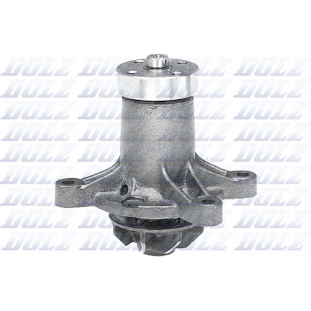 Pompe à eau DOLZ