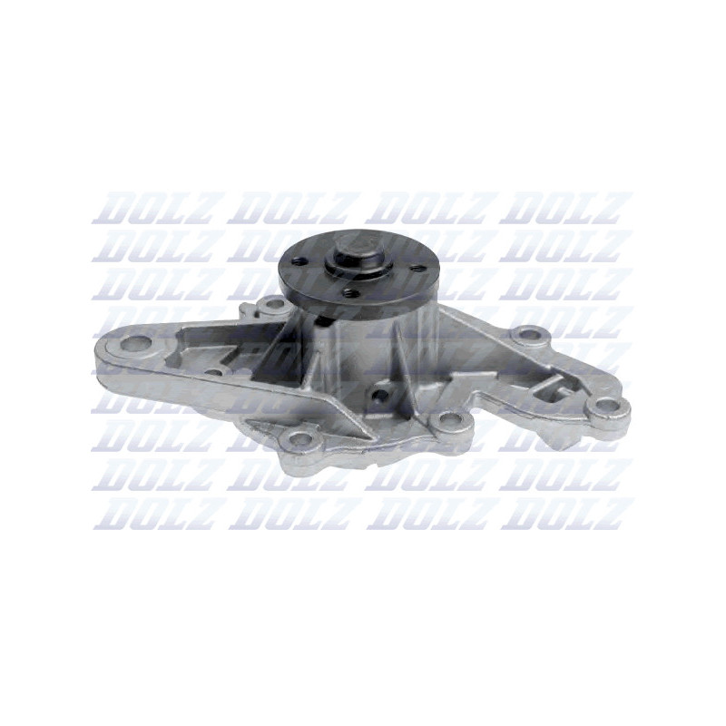 Pompe à eau DOLZ