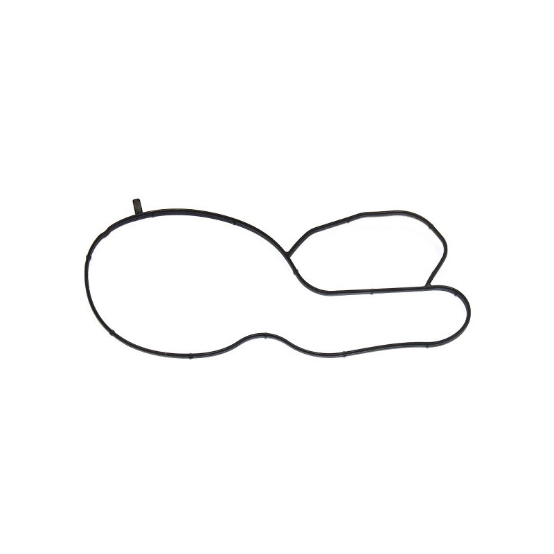 Joint d'étanchéité (pompe à eau) ELRING