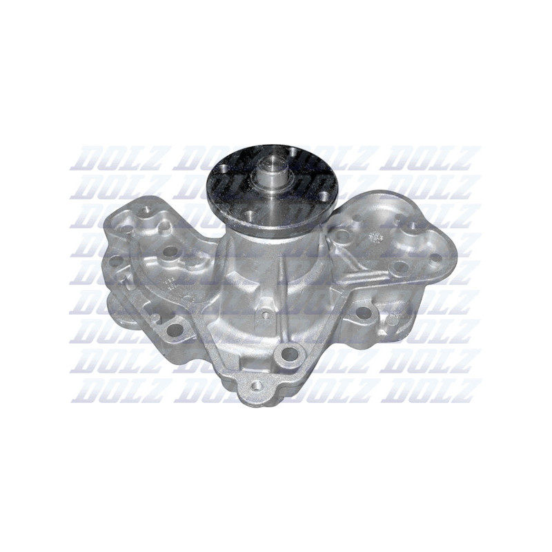 Pompe à eau DOLZ