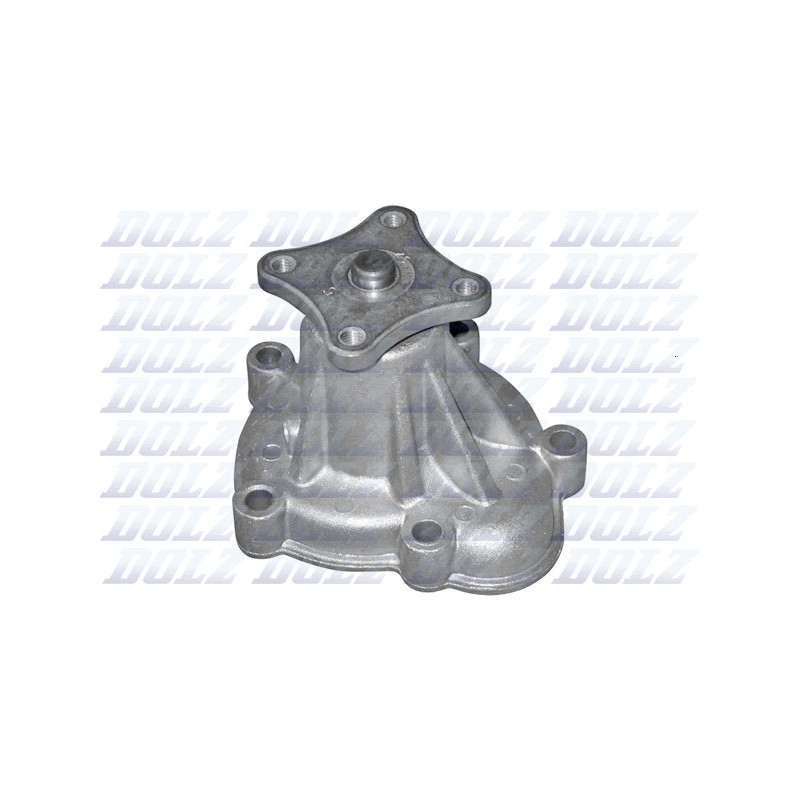 Pompe à eau DOLZ