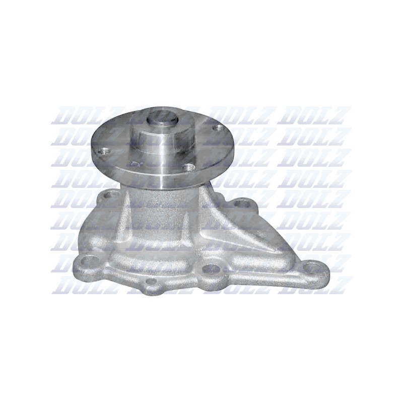Pompe à eau DOLZ