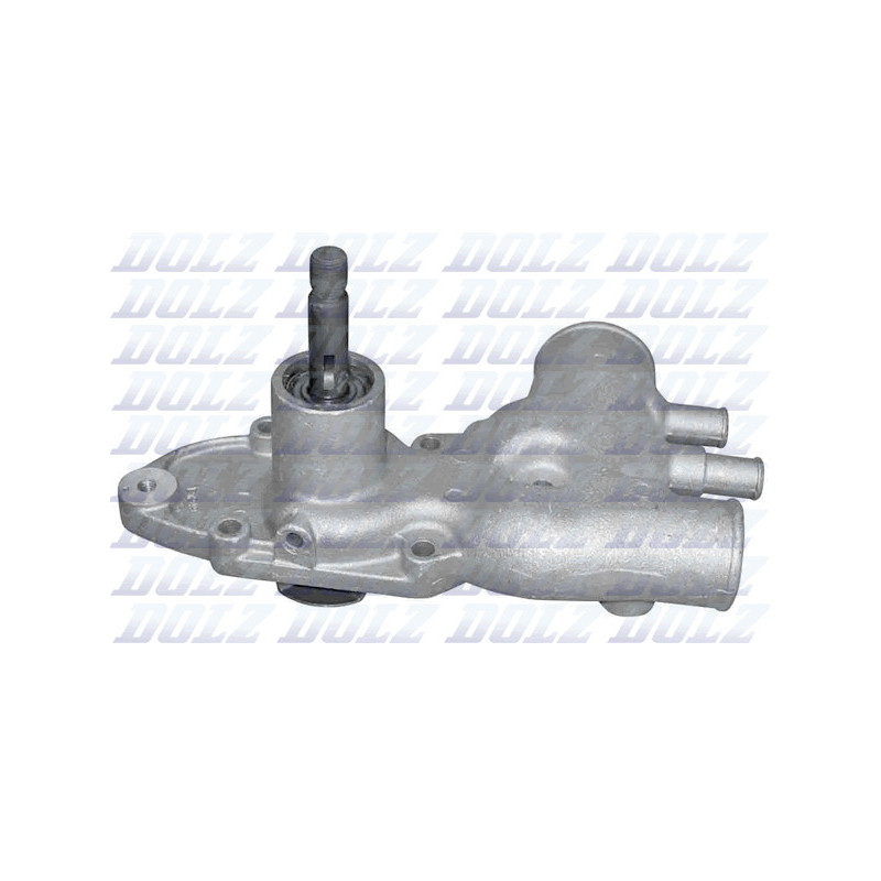 Pompe à eau DOLZ