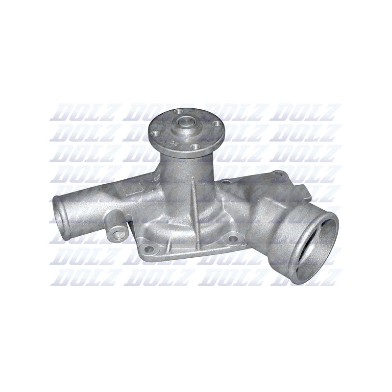 Pompe à eau DOLZ
