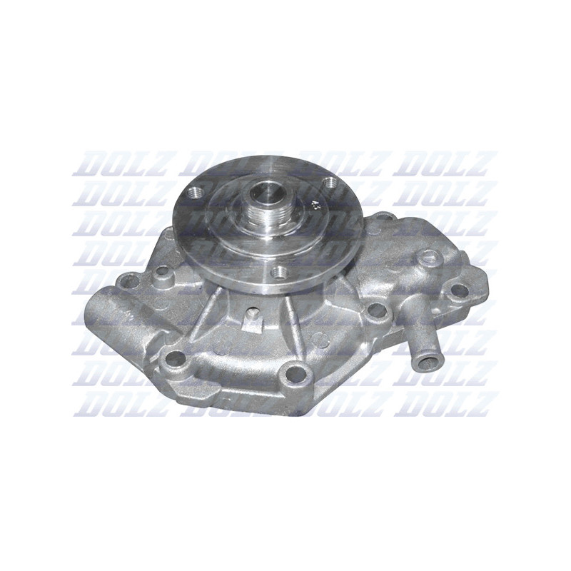 Pompe à eau DOLZ