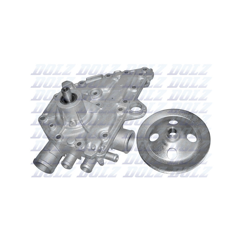Pompe à eau DOLZ