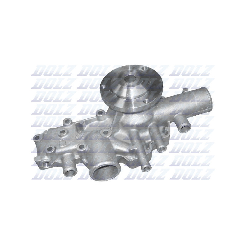 Pompe à eau DOLZ