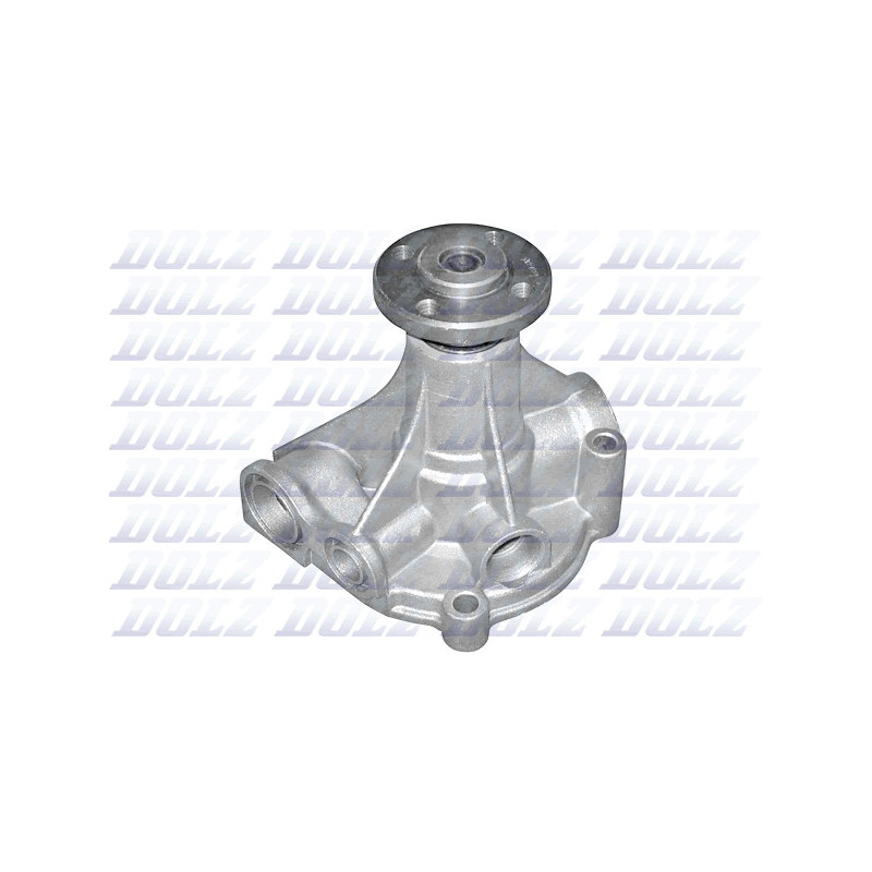 Pompe à eau DOLZ