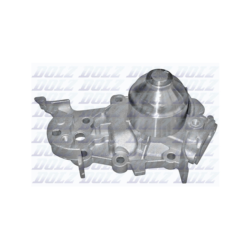 Pompe à eau DOLZ