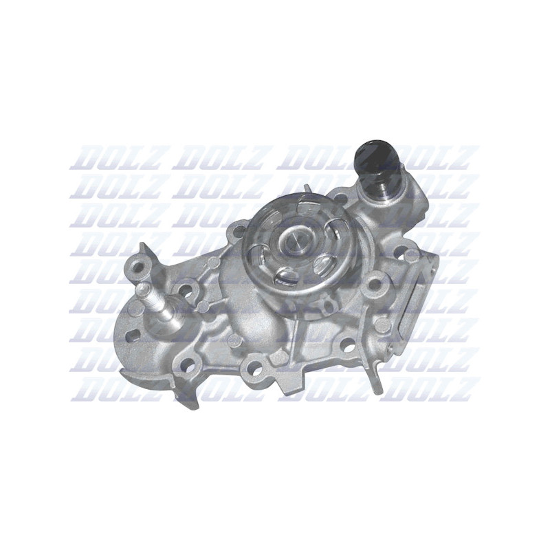 Pompe à eau DOLZ