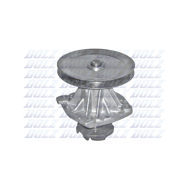 Pompe à eau DOLZ
