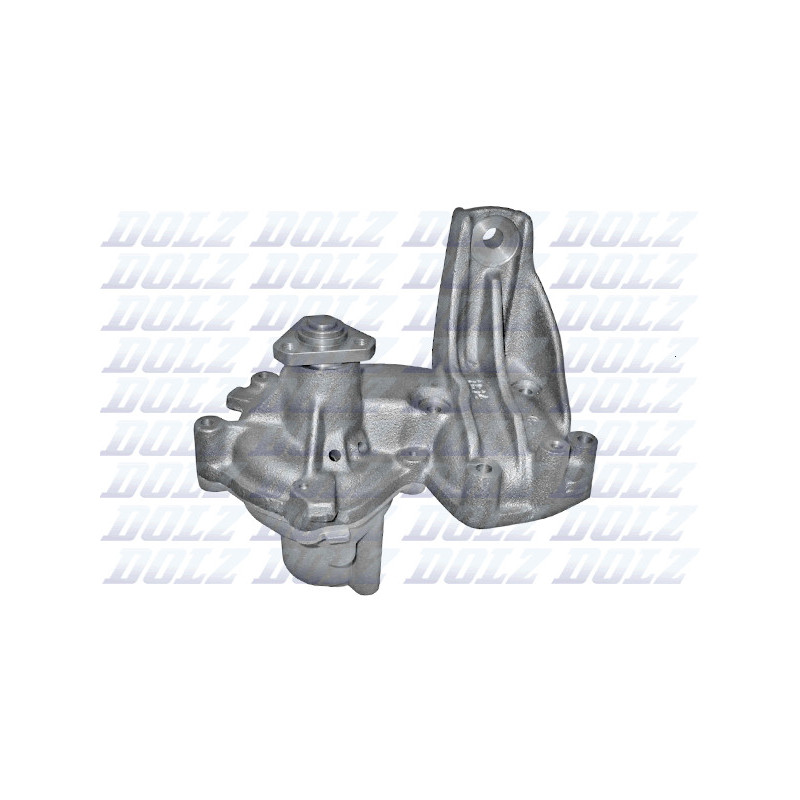 Pompe à eau DOLZ
