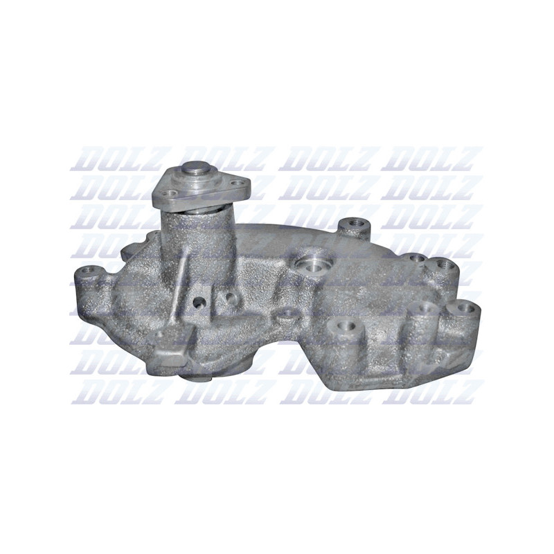 Pompe à eau DOLZ