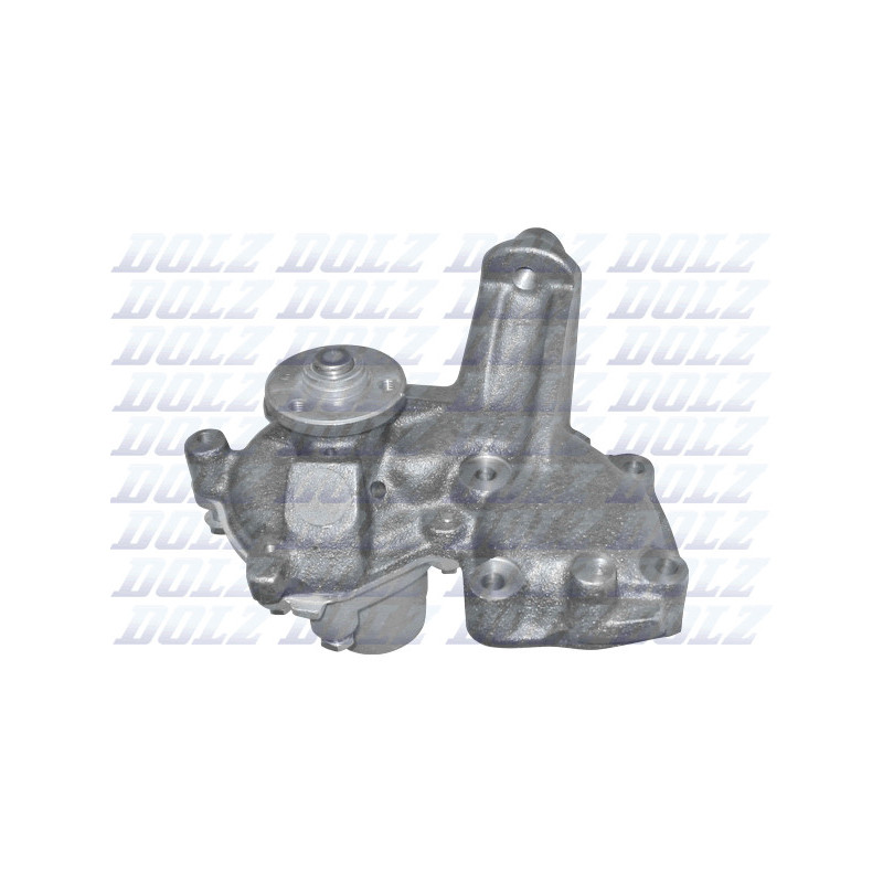 Pompe à eau DOLZ