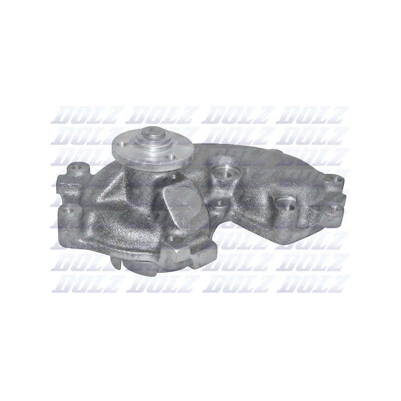 Pompe à eau DOLZ