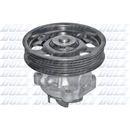 Pompe à eau DOLZ