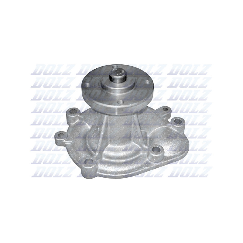 Pompe à eau DOLZ