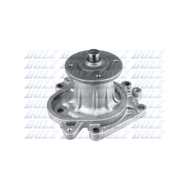 Pompe à eau DOLZ
