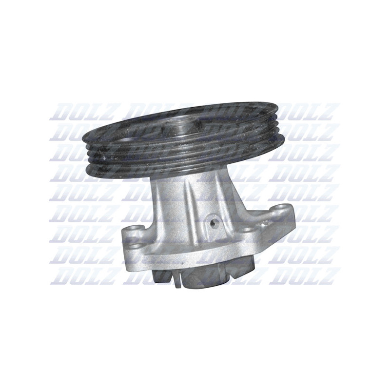 Pompe à eau DOLZ