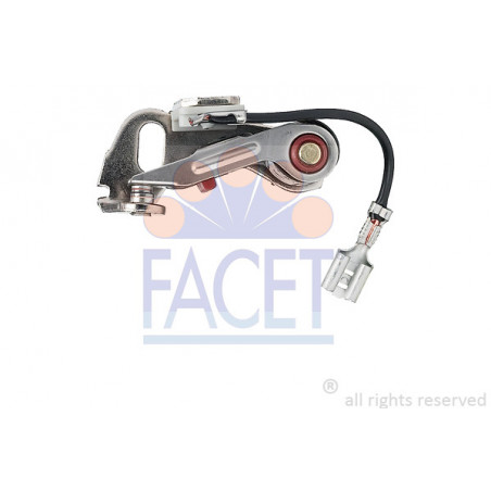 Vis platinées FACET