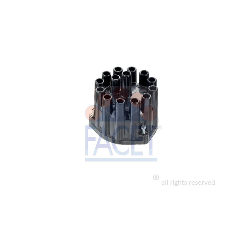 Tête d'allumeur FACET