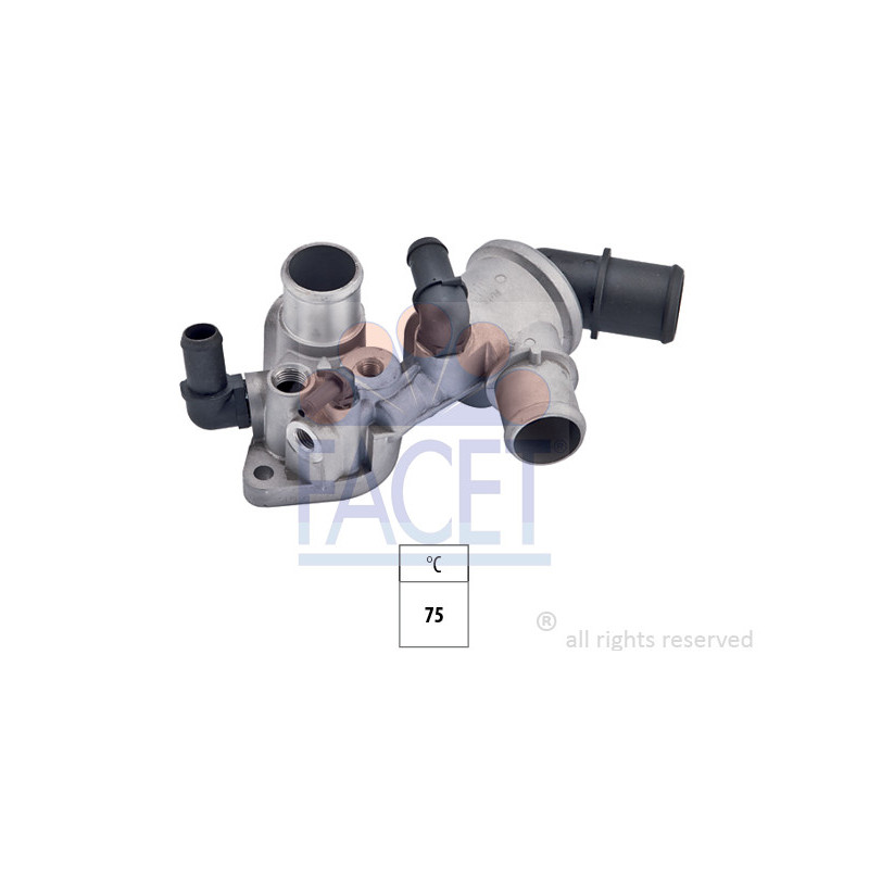 Thermostat d'eau FACET