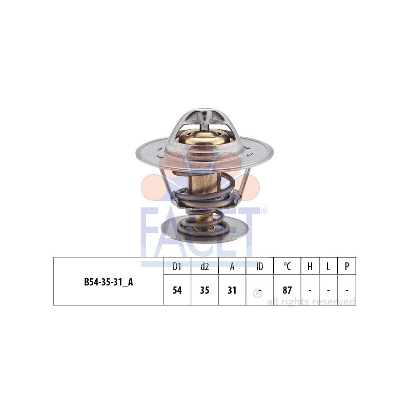 Thermostat d'eau FACET