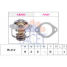 Thermostat d'eau FACET