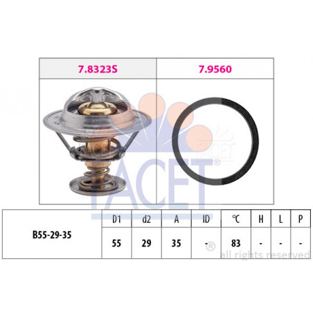 Thermostat d'eau FACET