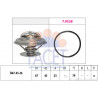 Thermostat d'eau FACET