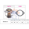 Thermostat d'eau FACET