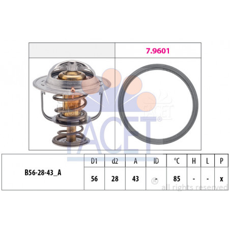 Thermostat d'eau FACET